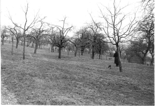 07a Schulhaus Krenkingen Bauplatz im Frühjahr 1962.jpg